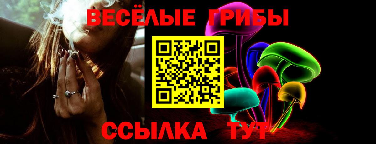 Галлюциногенные грибы Cubensis Красноуфимск